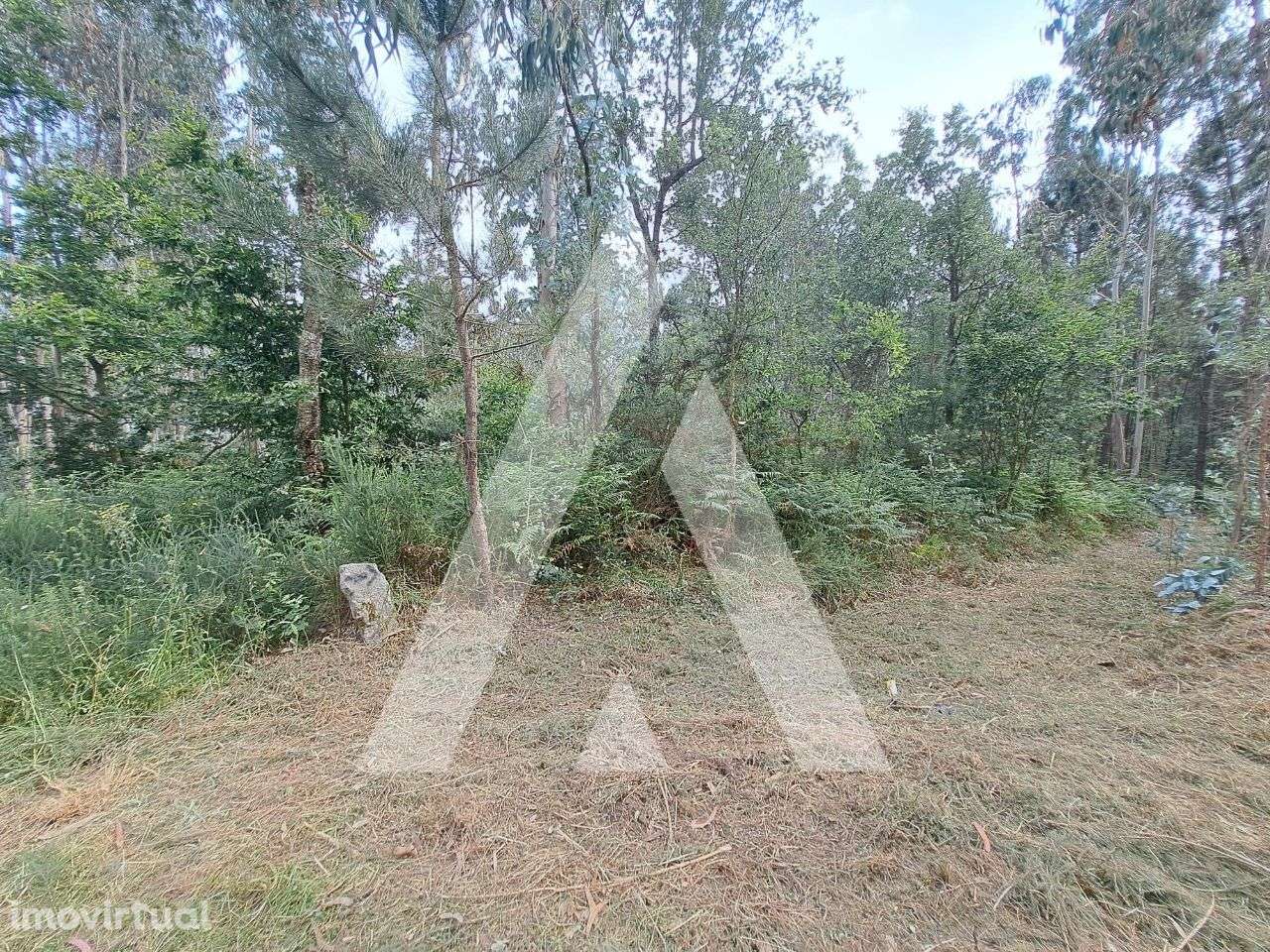 Terreno para venda para construção de moradias na zona de Argoncilhe - Grande imagem: 4/14