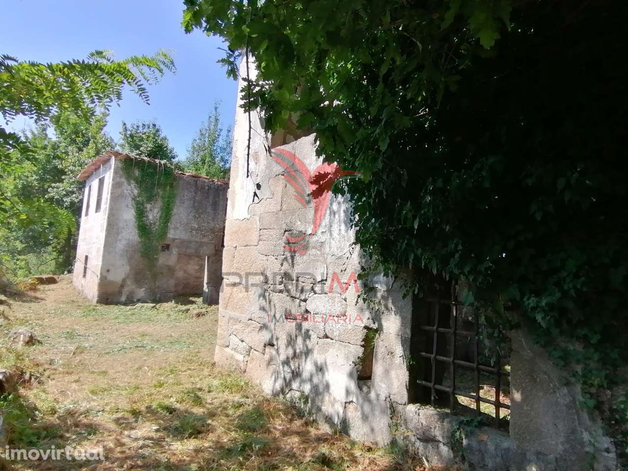 Quinta com duas casas para recuperar e vista fabulosa do Rio Douro - Grande imagem: 5/35