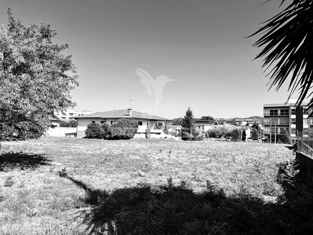 TERRENO CONSTRUTIVO | OPORTUNIDADE - Grande imagem: 4/7