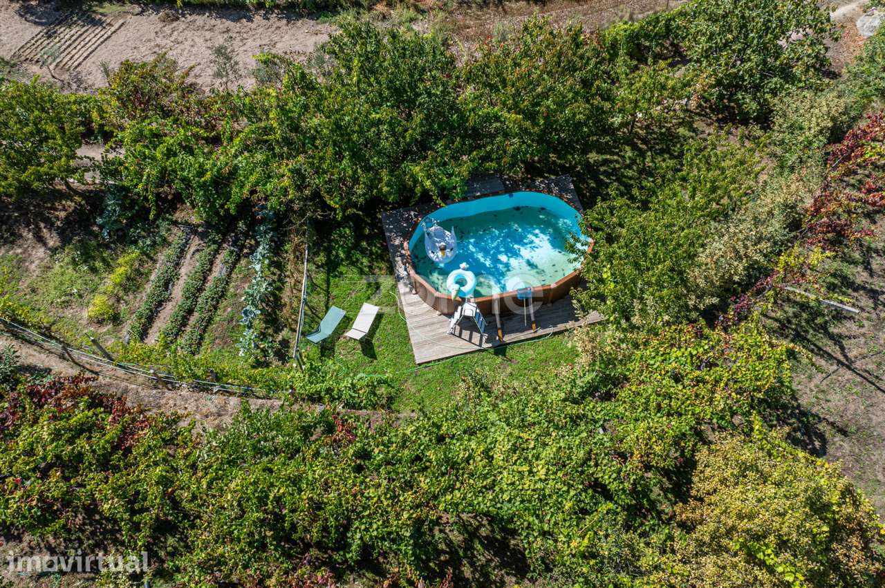 Quintinha Charmosa no Douro | Piscina, Vinha e Natureza | Cinfães - Grande imagem: 3/41