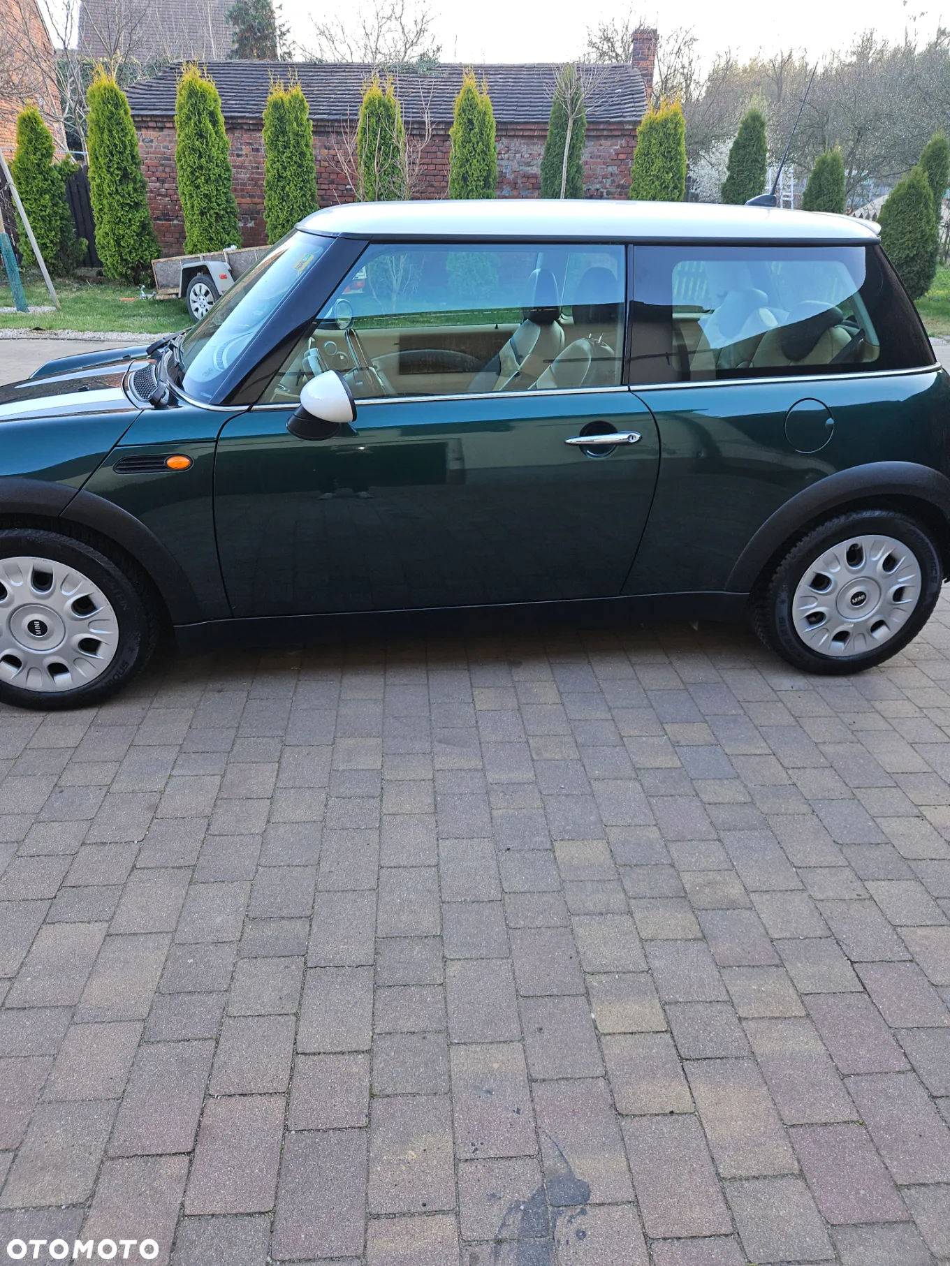 MINI Cooper Checkmate - 3