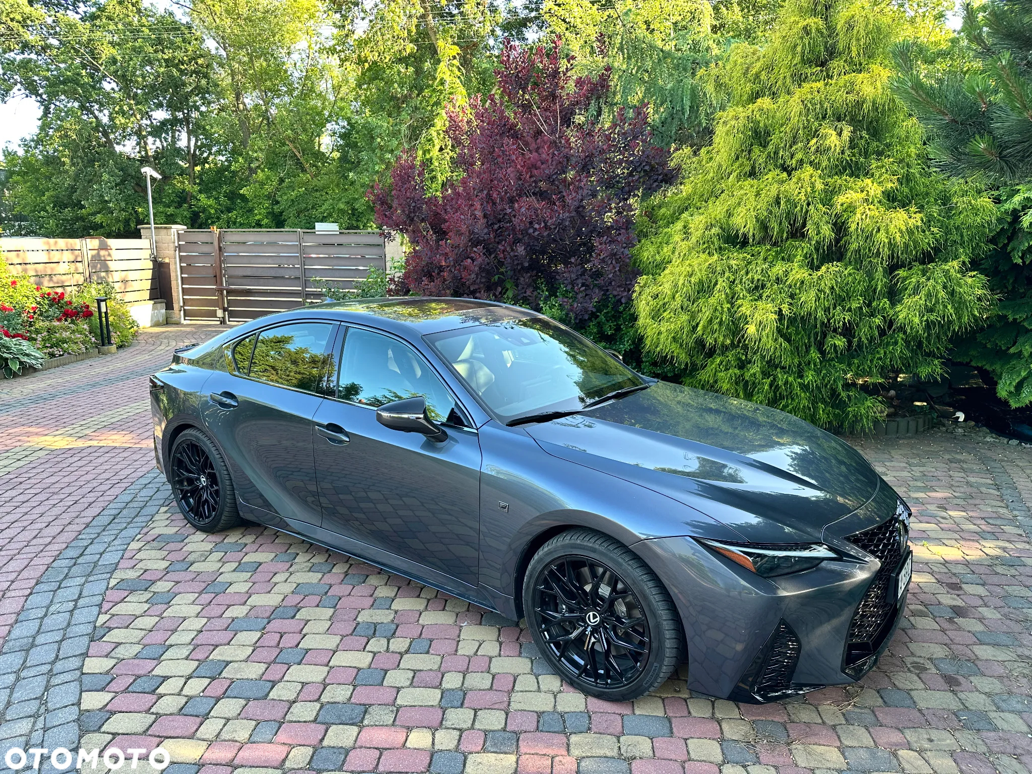 Lexus IS - 3