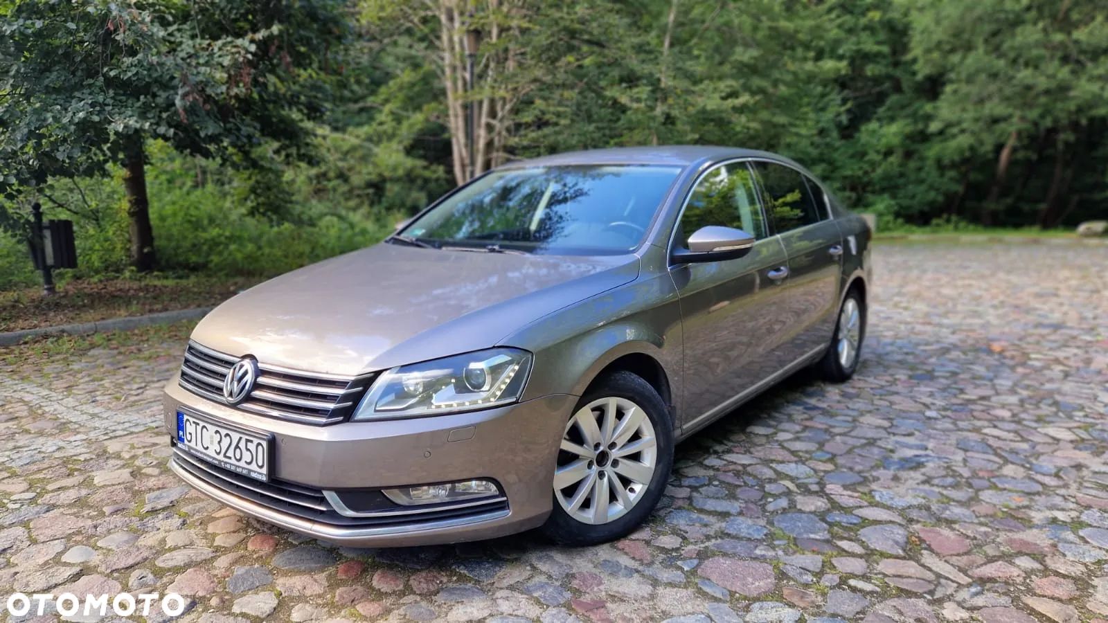 Volkswagen Passat - 1