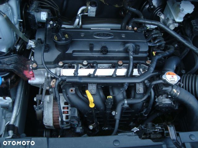 Kia Rio - 32