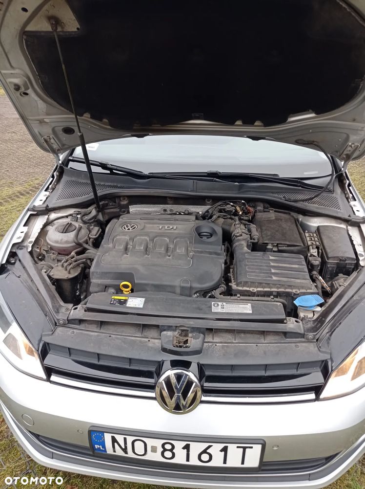 Volkswagen Golf VII 1.6 TDI BlueMotion Trendline - 32