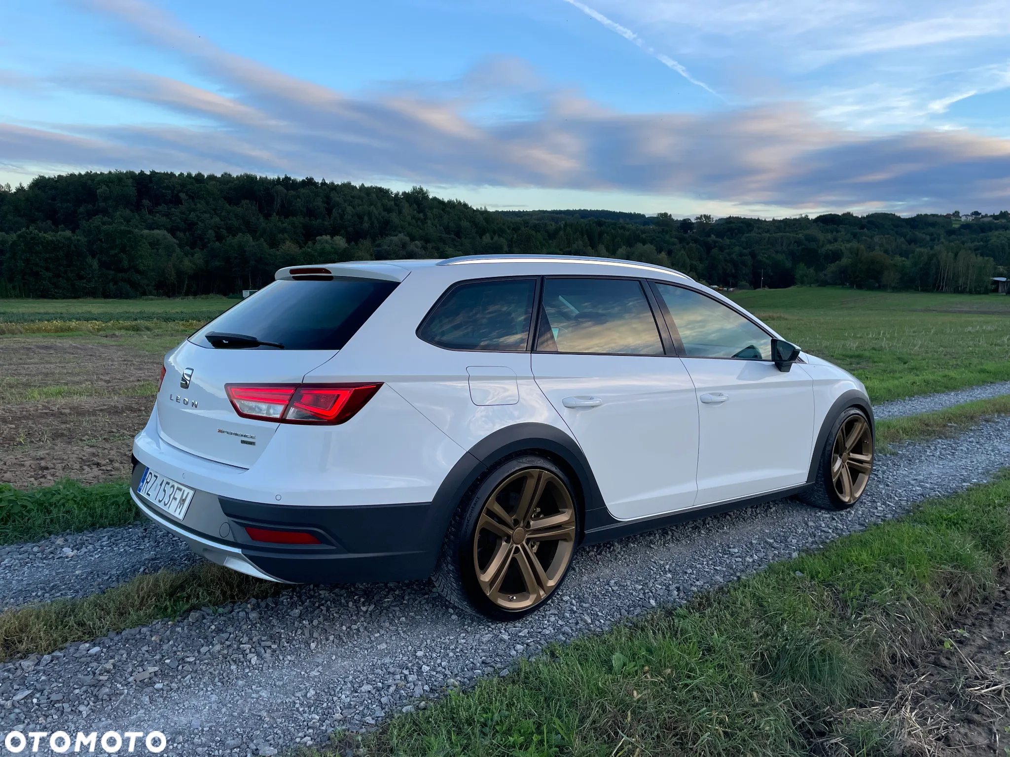 Seat Leon ST 2.0 TDI Start&Stop 4Drive X-Perience - 6