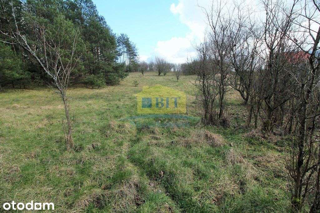 Działka budowlana 1562m2, Golin koło Człopy - Pełny obrazek: 5/13