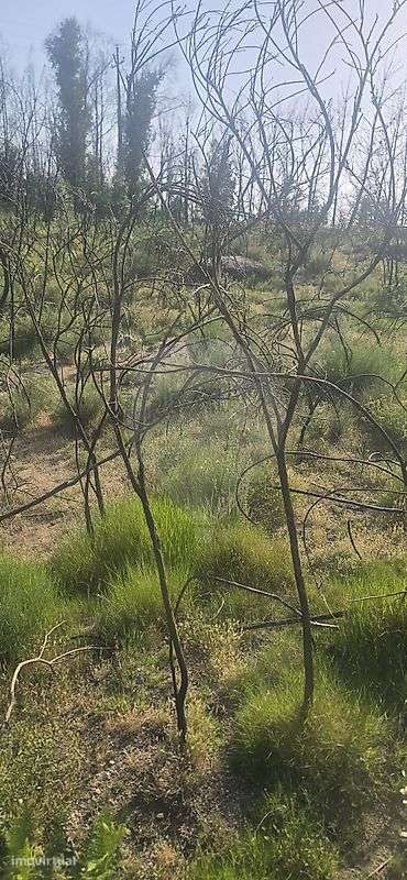 Terreno  para venda - Grande imagem: 2/4