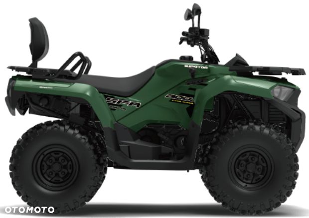 QJMOTOR Inny - 2