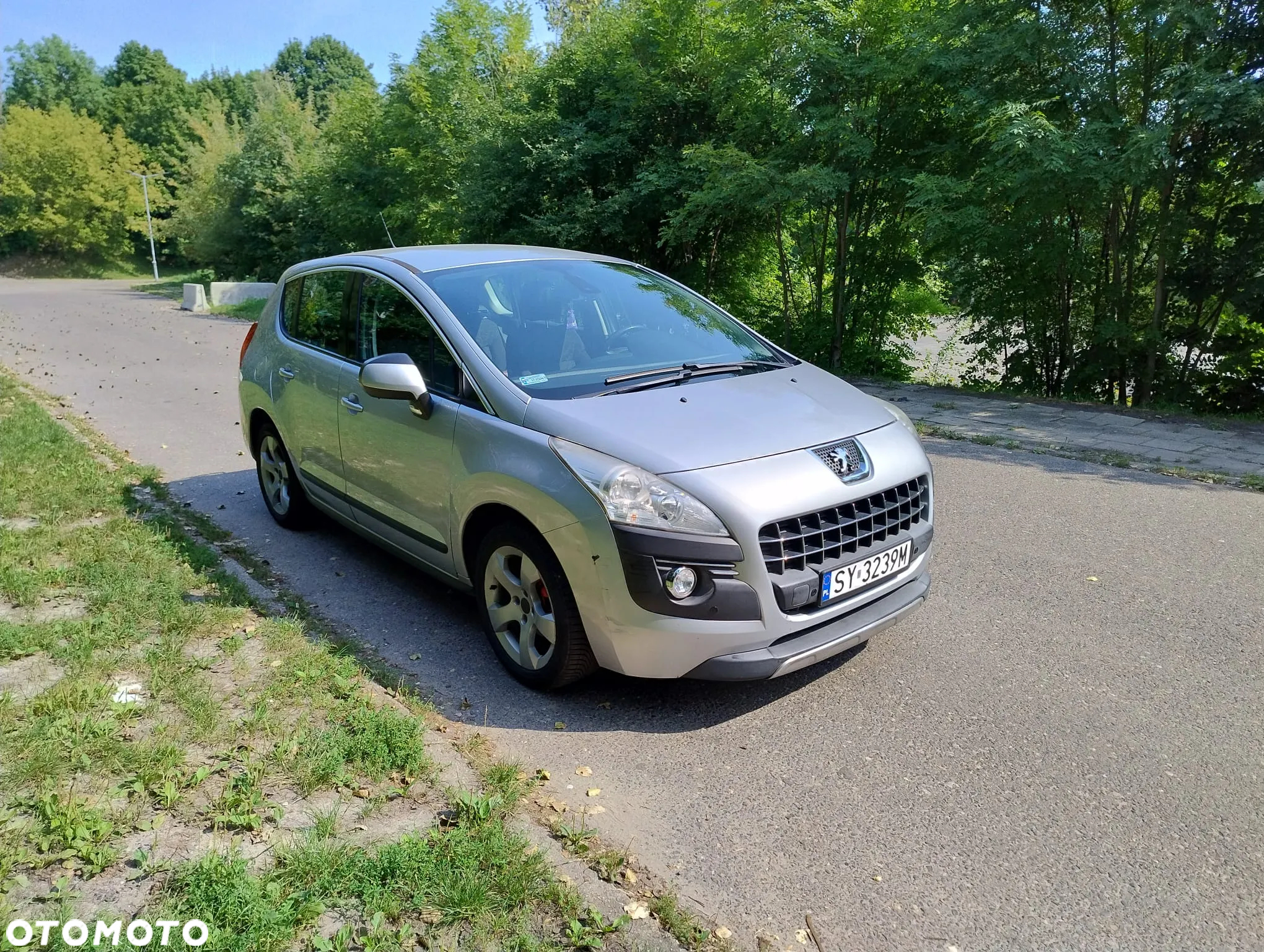 Peugeot 3008 - 13