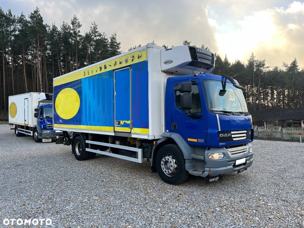DAF LF 55 Chłodnia - 6
