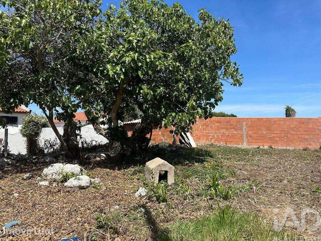 Casa / Villa T4 em Serra d'El-Rei de 84,00 m2 - Grande imagem: 5/29