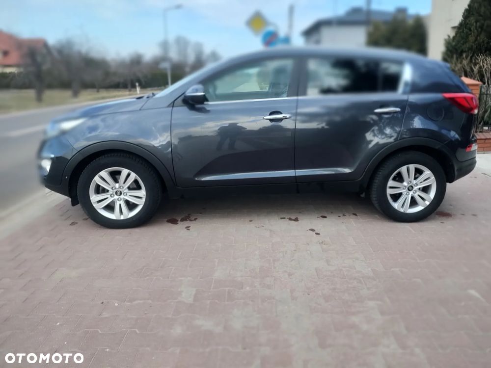 Kia Sportage - 21