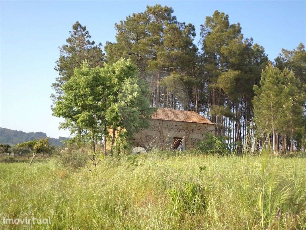 Quinta  para venda - Grande imagem: 4/47