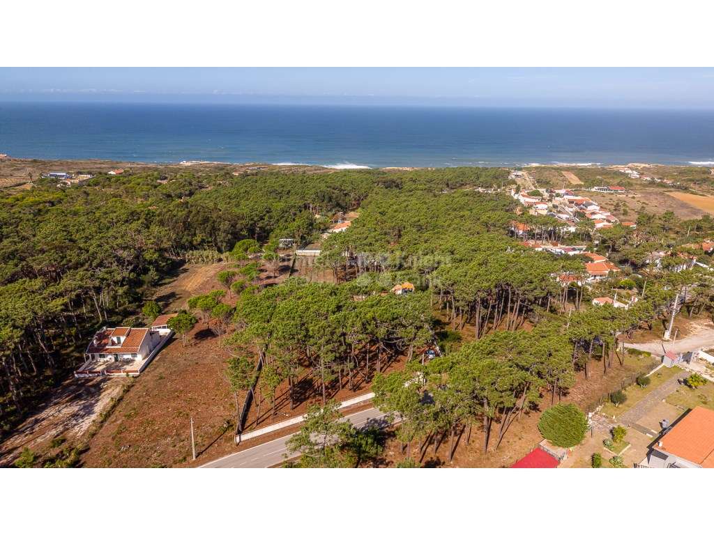 Moradia T3 à venda em São João das Lampas e Terrugem, Sintra — foto 2
