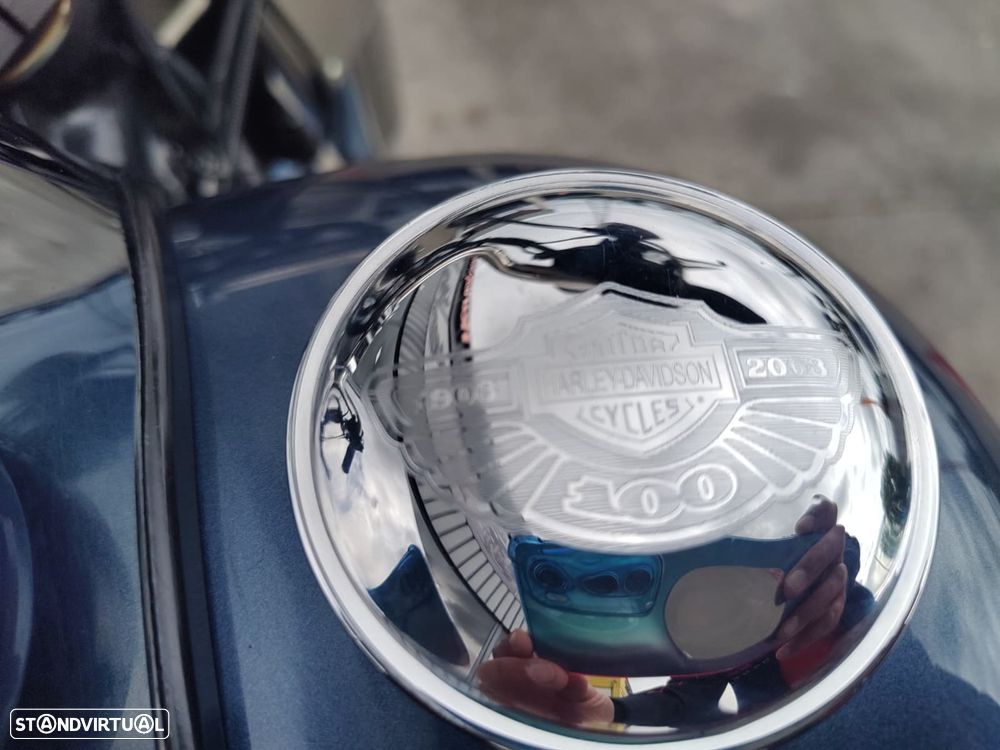 Harley-Davidson Fat Boy 100 anos H-D - 10