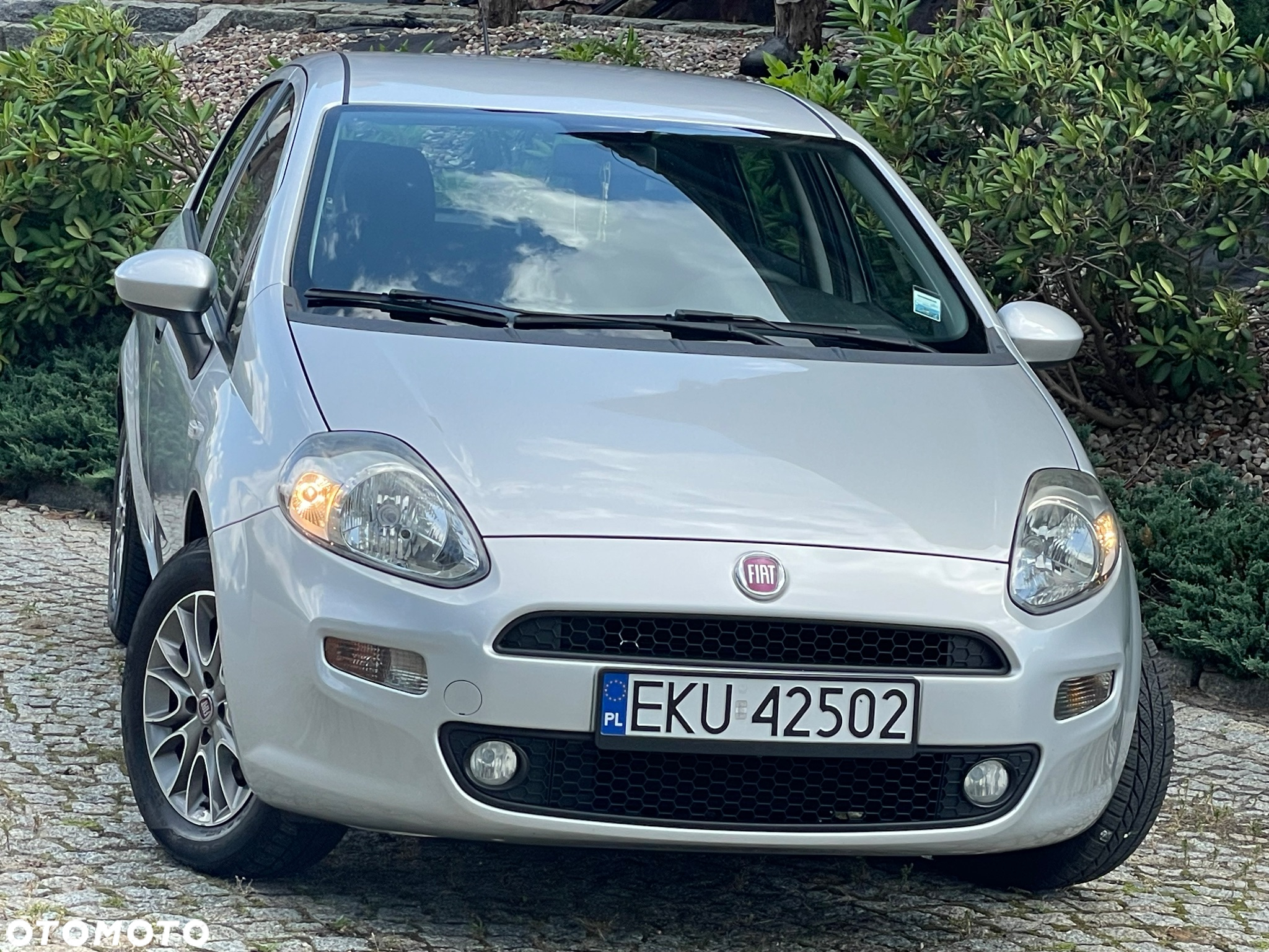 Fiat Punto Evo 1.2 8V Active - 14