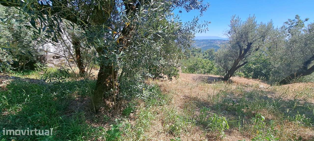 Terreno para construção em Fragosela, Viseu - Oportunidade Única! - Grande imagem: 4/4
