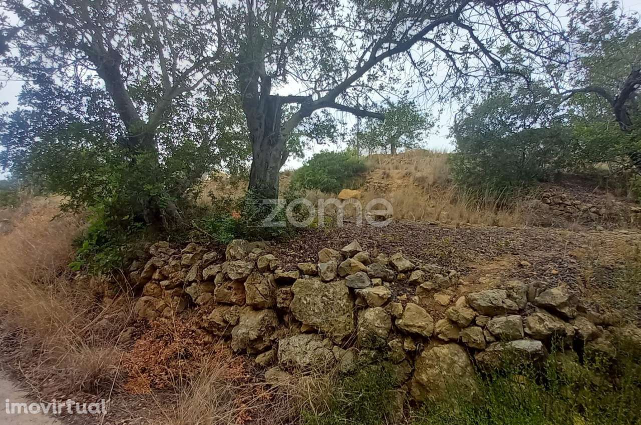Quinta para recuperar, 2 moradias T5 em ruinas e terreno, Estói, Faro - Grande imagem: 4/60