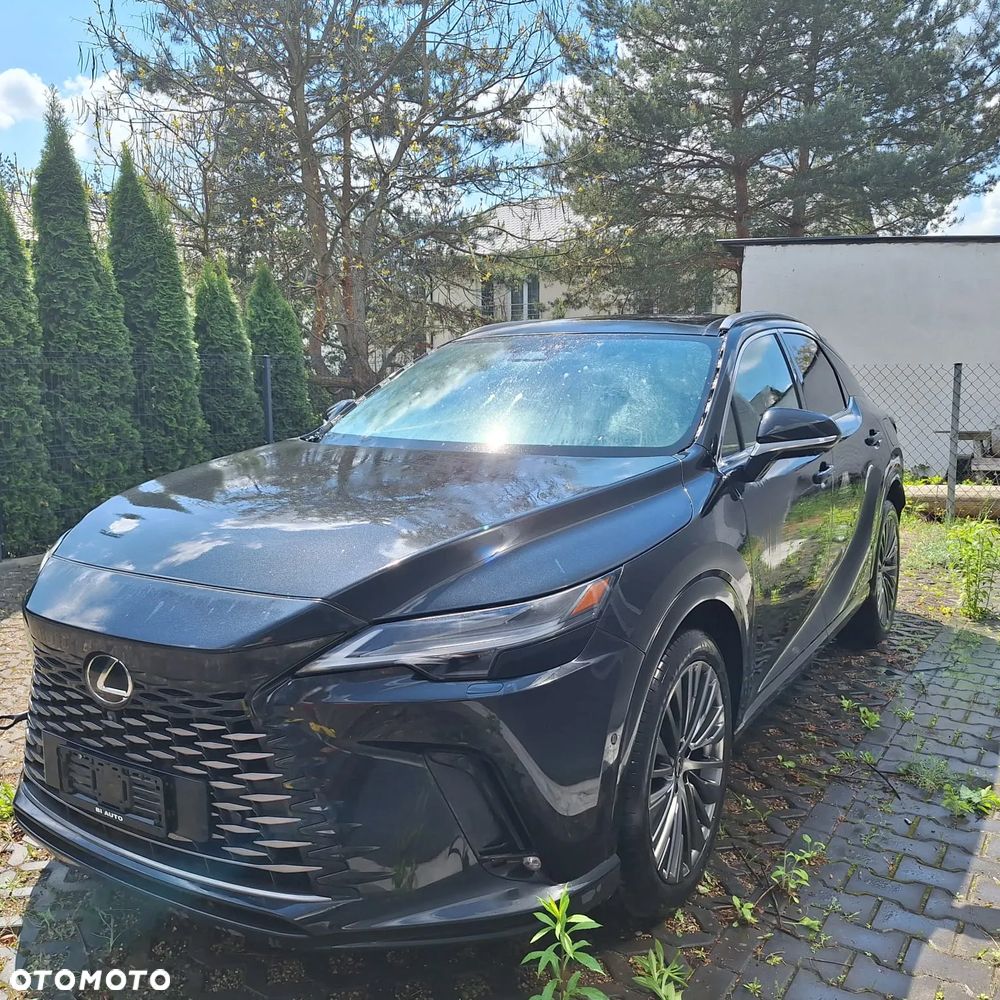 Lexus RX - 15