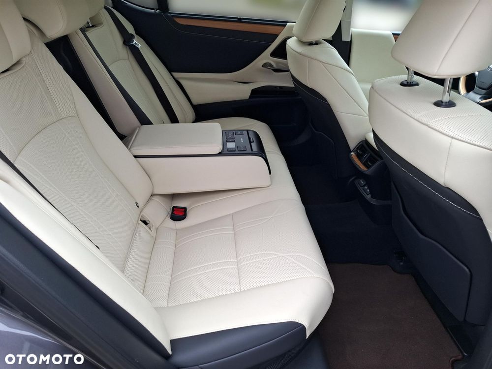 Lexus ES 300h Omotenashi - 19