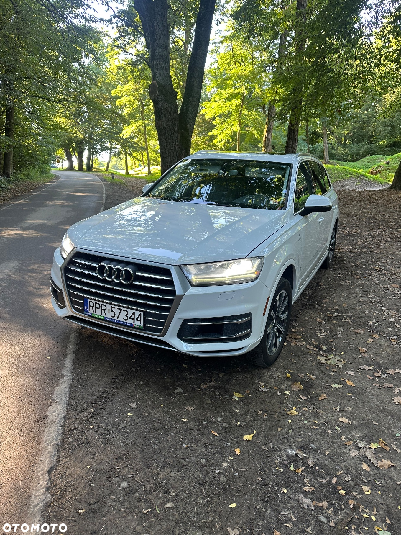Audi Q7 3.0 TFSI Quattro Tiptronic - 27