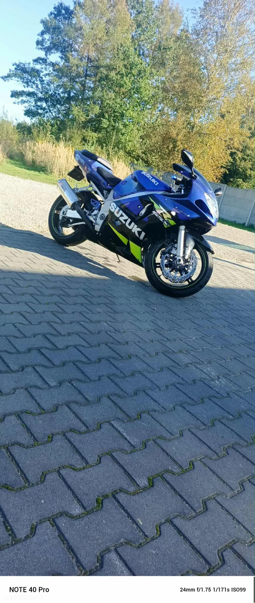 Suzuki GSX - 10