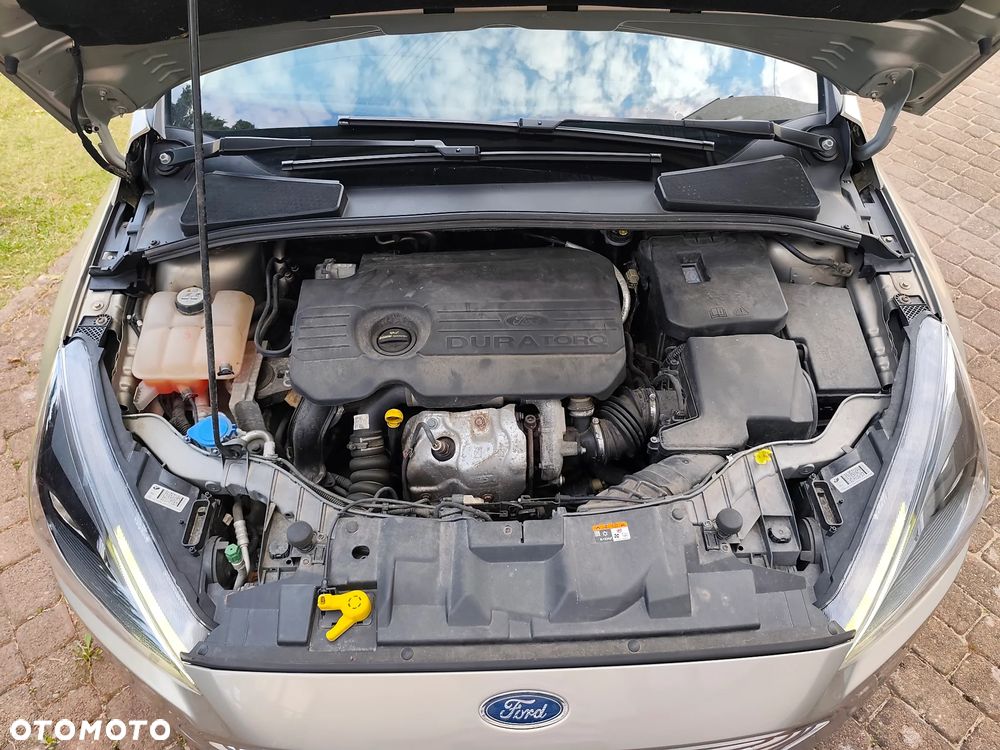 Ford Focus - 15