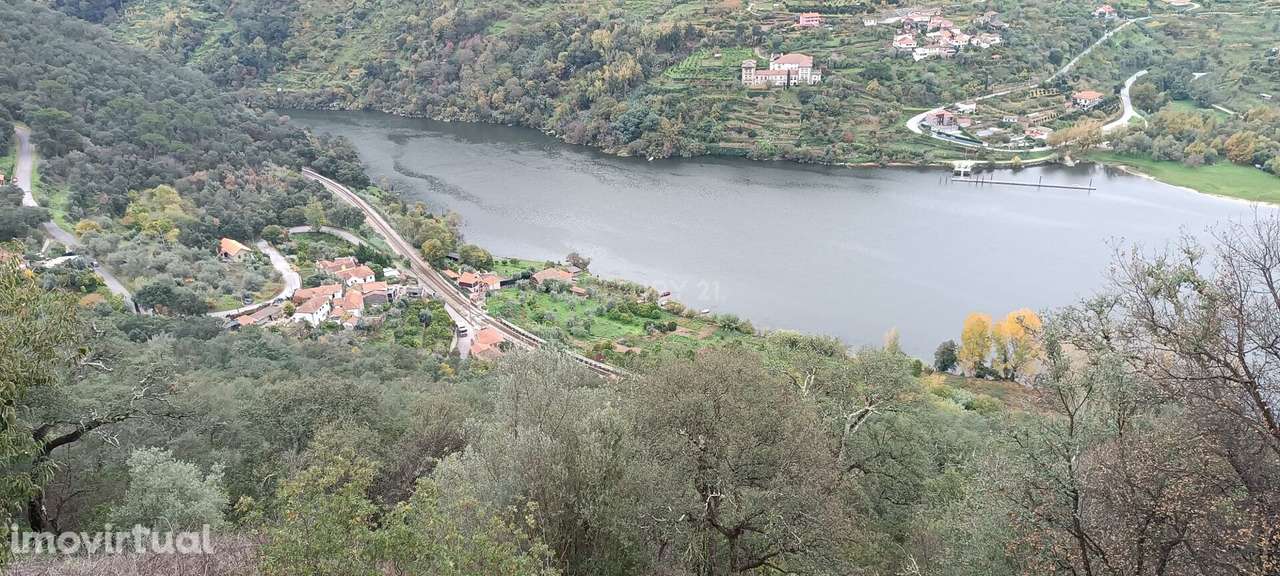 Terreno florestal com vista para a praia fluvial de Porto de Rei em Ba - Grande imagem: 3/45