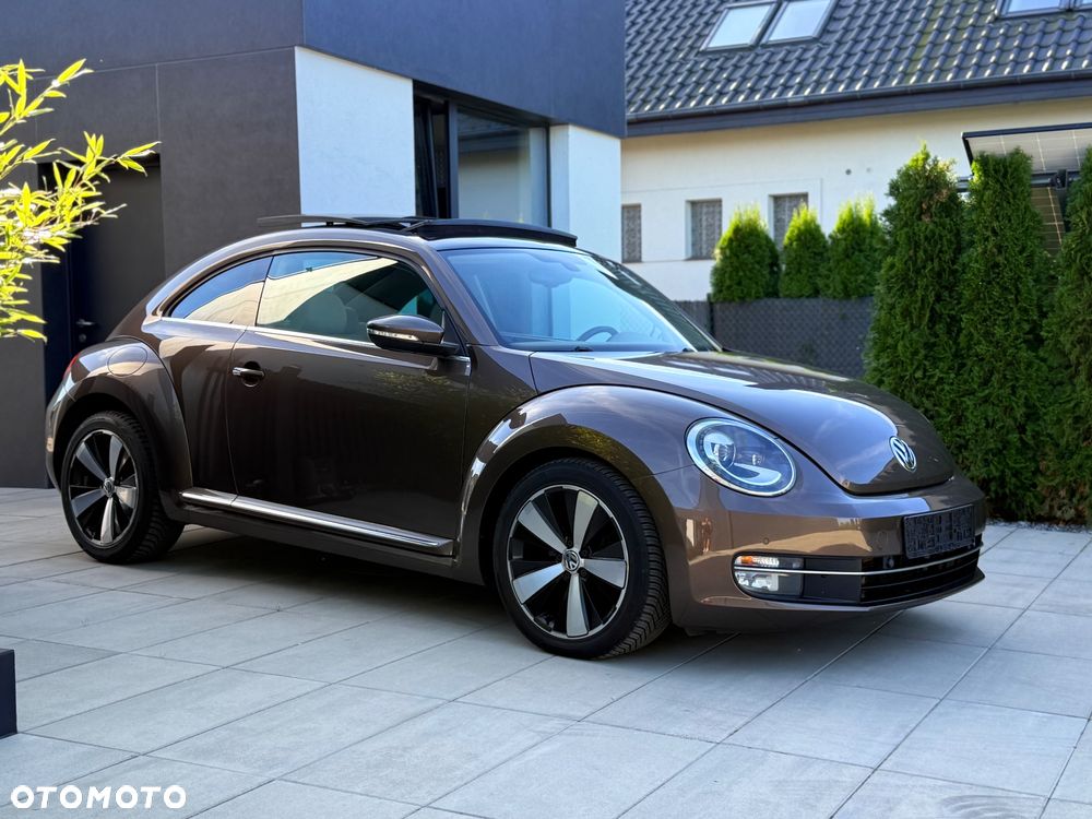 Volkswagen Beetle - 5