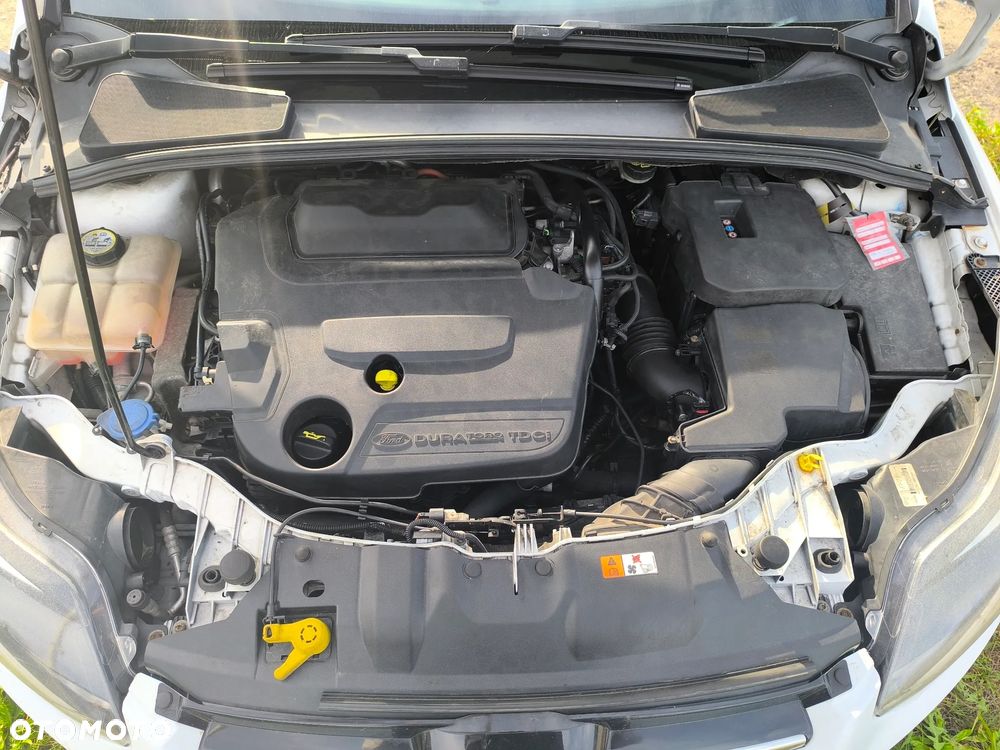 Ford Focus - 8