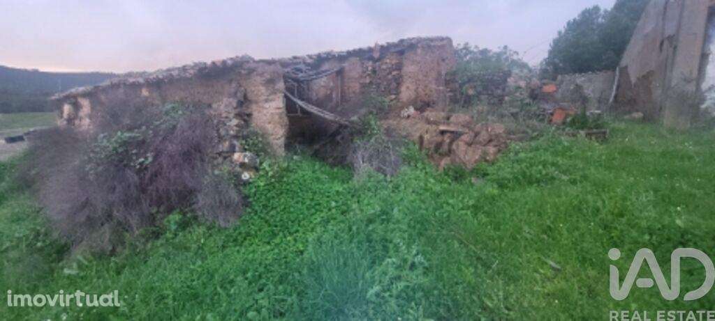 Quinta em São Teotónio de 240 m2 - Grande imagem: 4/10