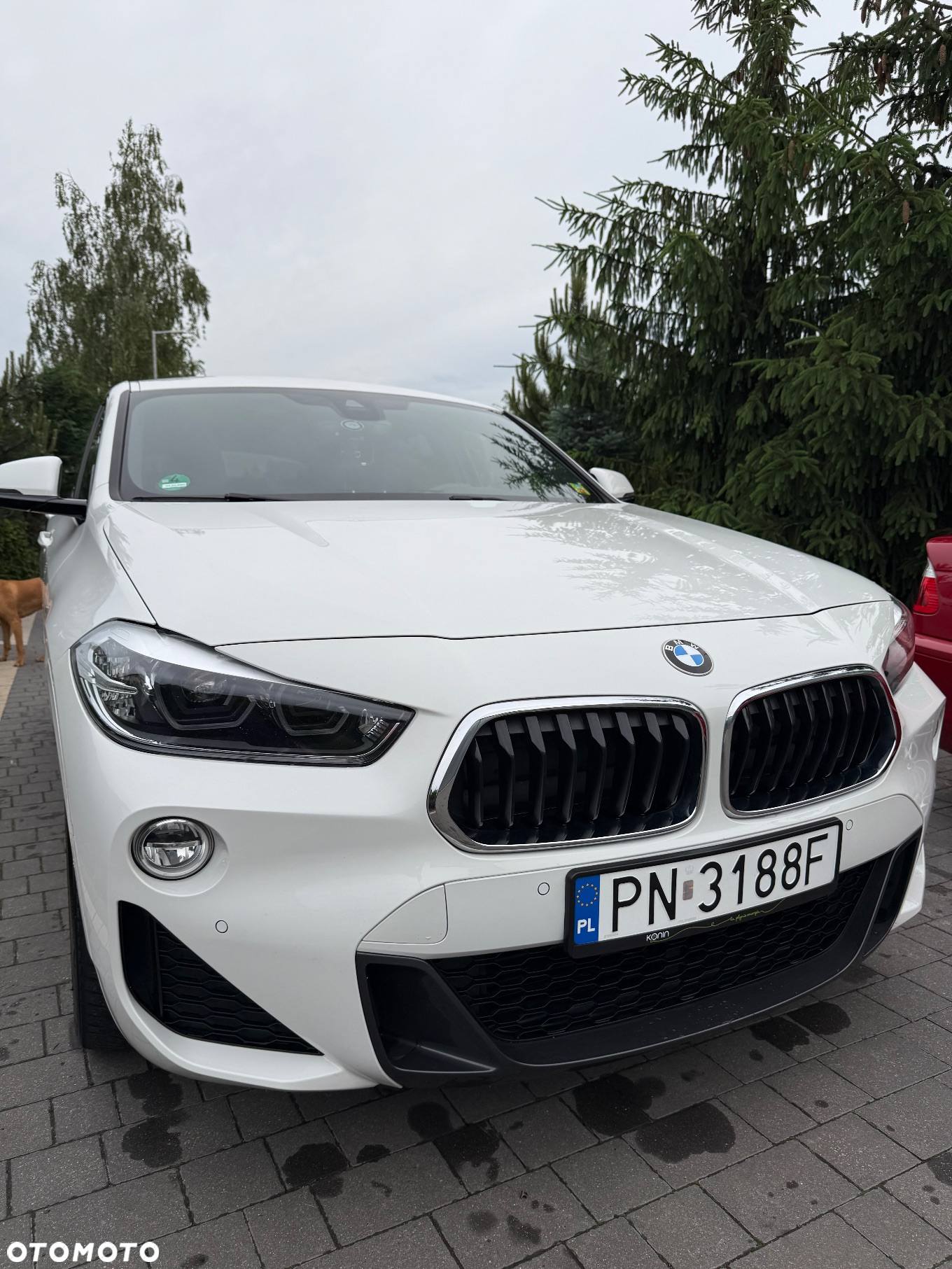 BMW X2 xDrive20d M Sport sport - 24