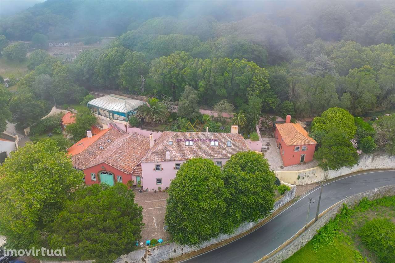 Quinta única em Colares - Grande imagem: 2/49