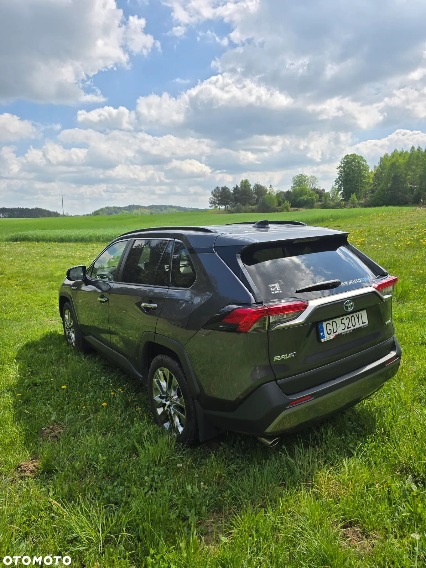Toyota RAV4 2.5 Hybrid Executive 4x2 - 5