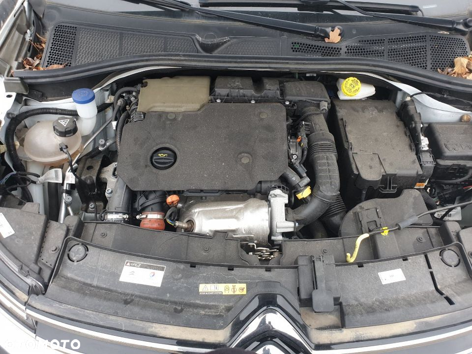 Citroën C4 Cactus 1.5 BlueHDi Live - 8