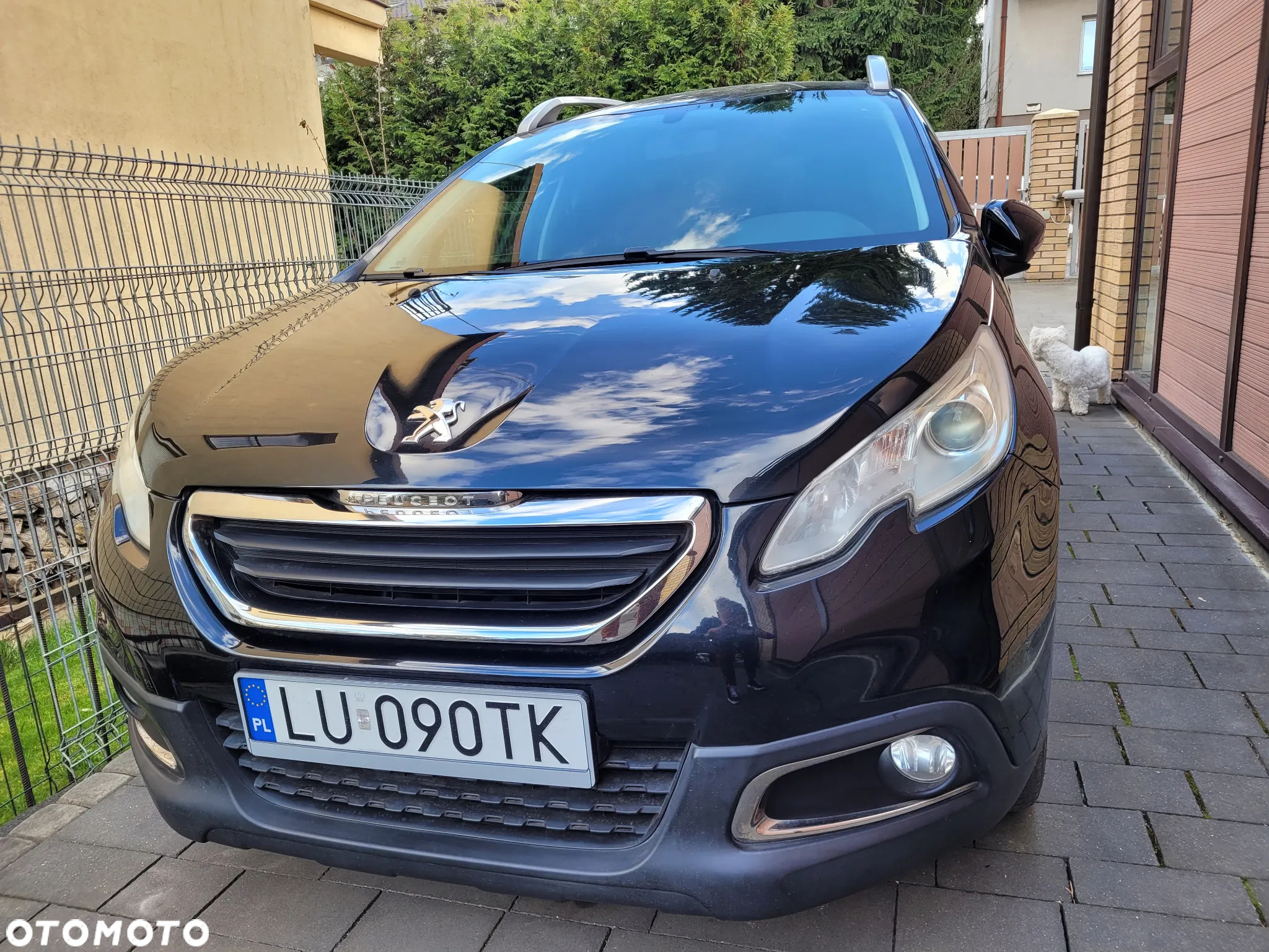 Peugeot 2008 PureTech 82 Access - 18