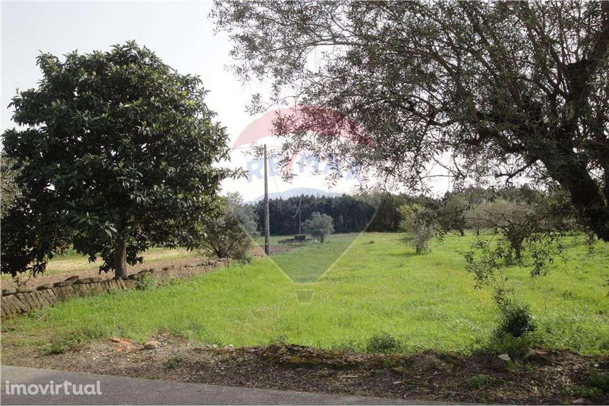Terreno  para venda - Grande imagem: 2/4