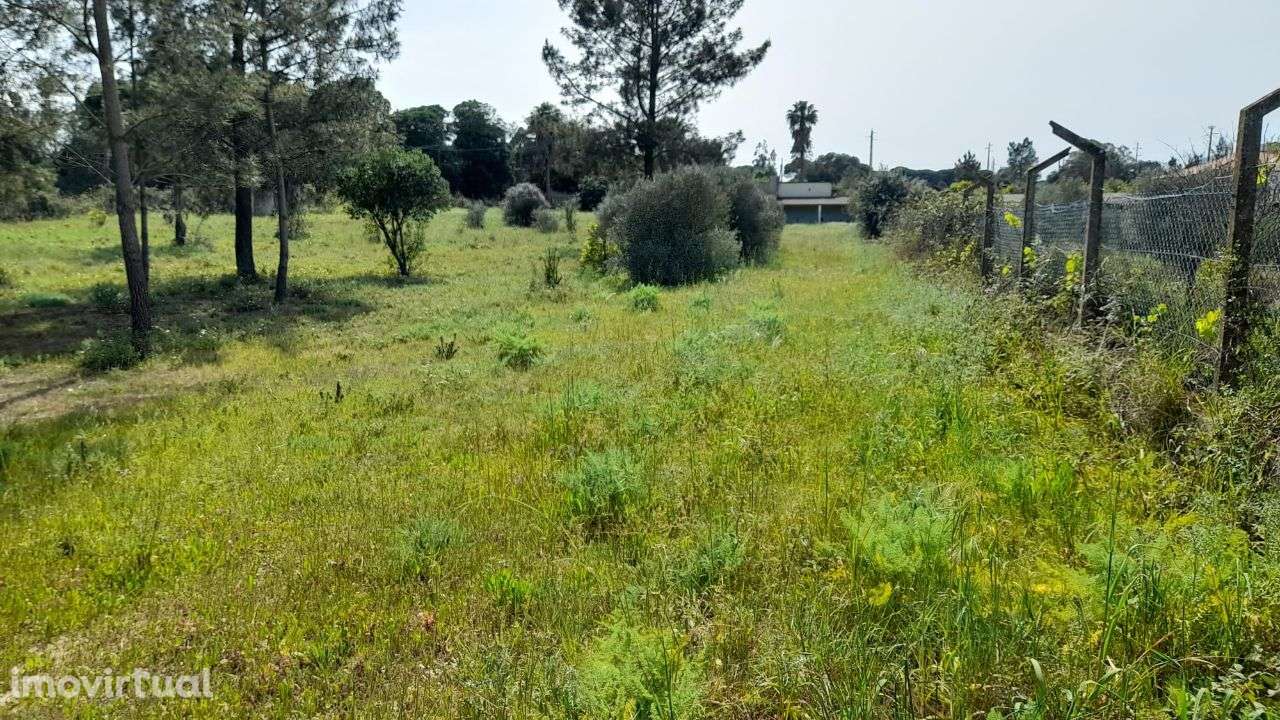 Setúbal/Padeiras Quinta 5000m2 para moradia. - Grande imagem: 2/20