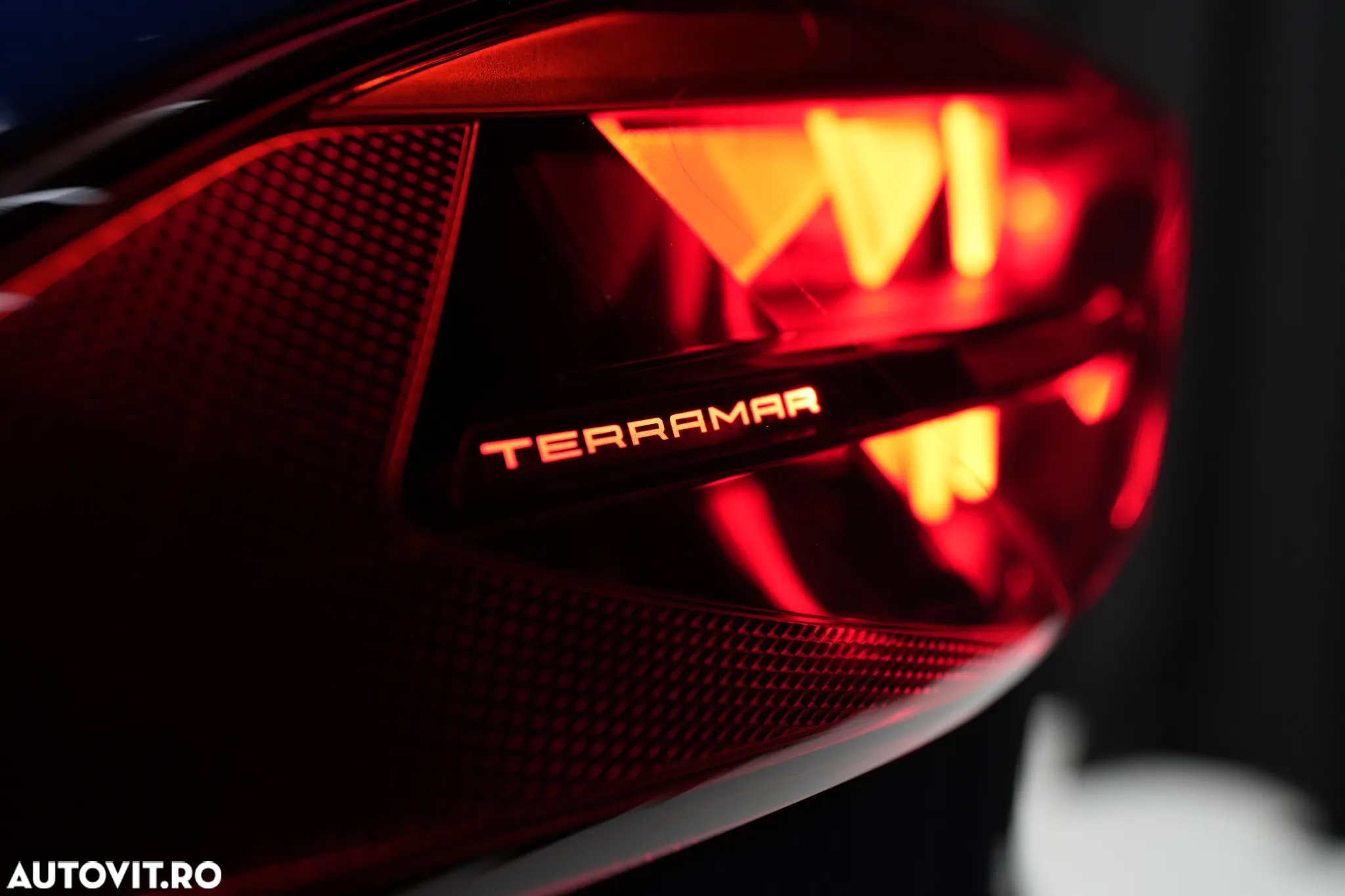 Cupra Terramar - 7