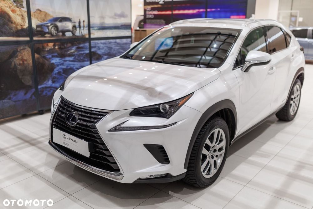Lexus NX - 19
