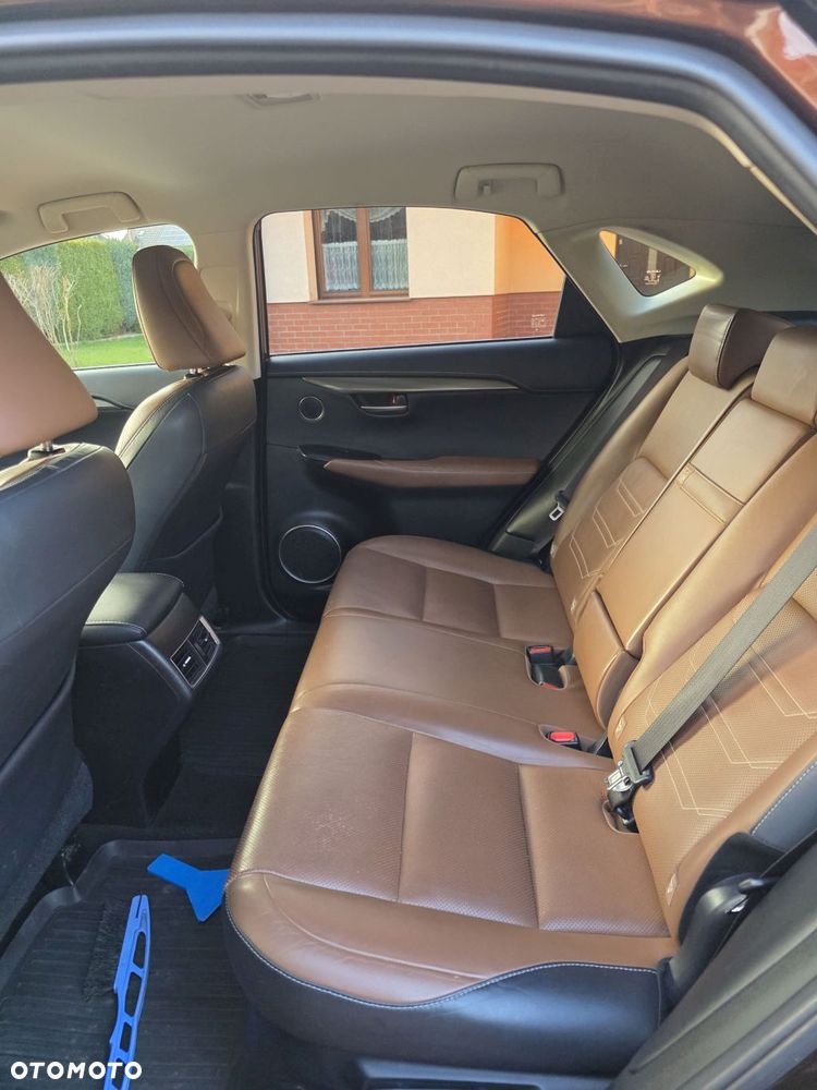 Lexus NX 300h Comfort AWD - 7