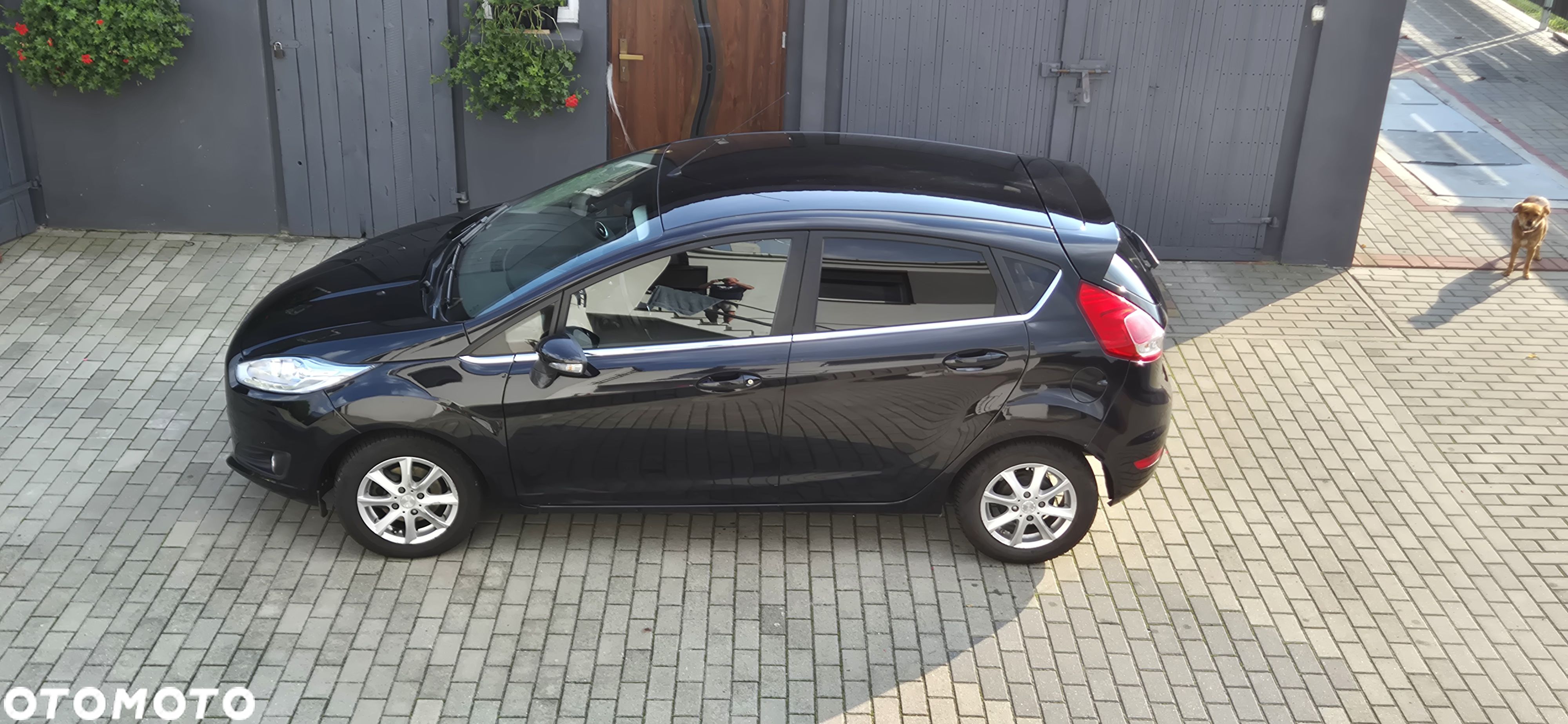 Ford Fiesta 1.6 TDCi Titanium - 1