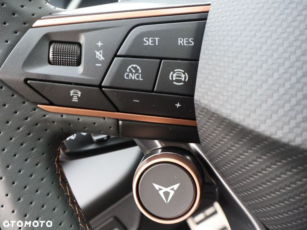 Cupra Terramar 1.5 eTSI mHEV DSG - 25