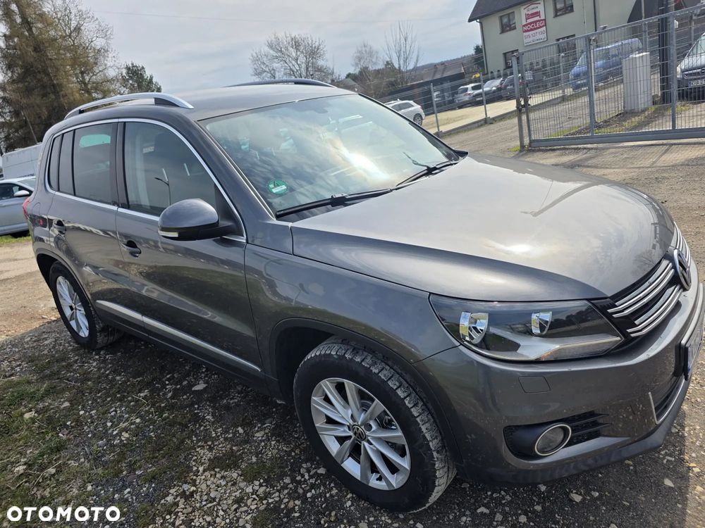 Volkswagen Tiguan - 19