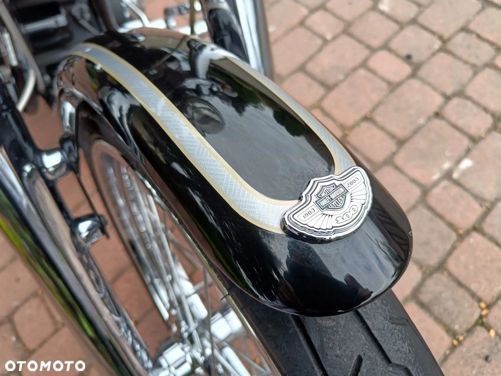 Harley-Davidson Softail - 14