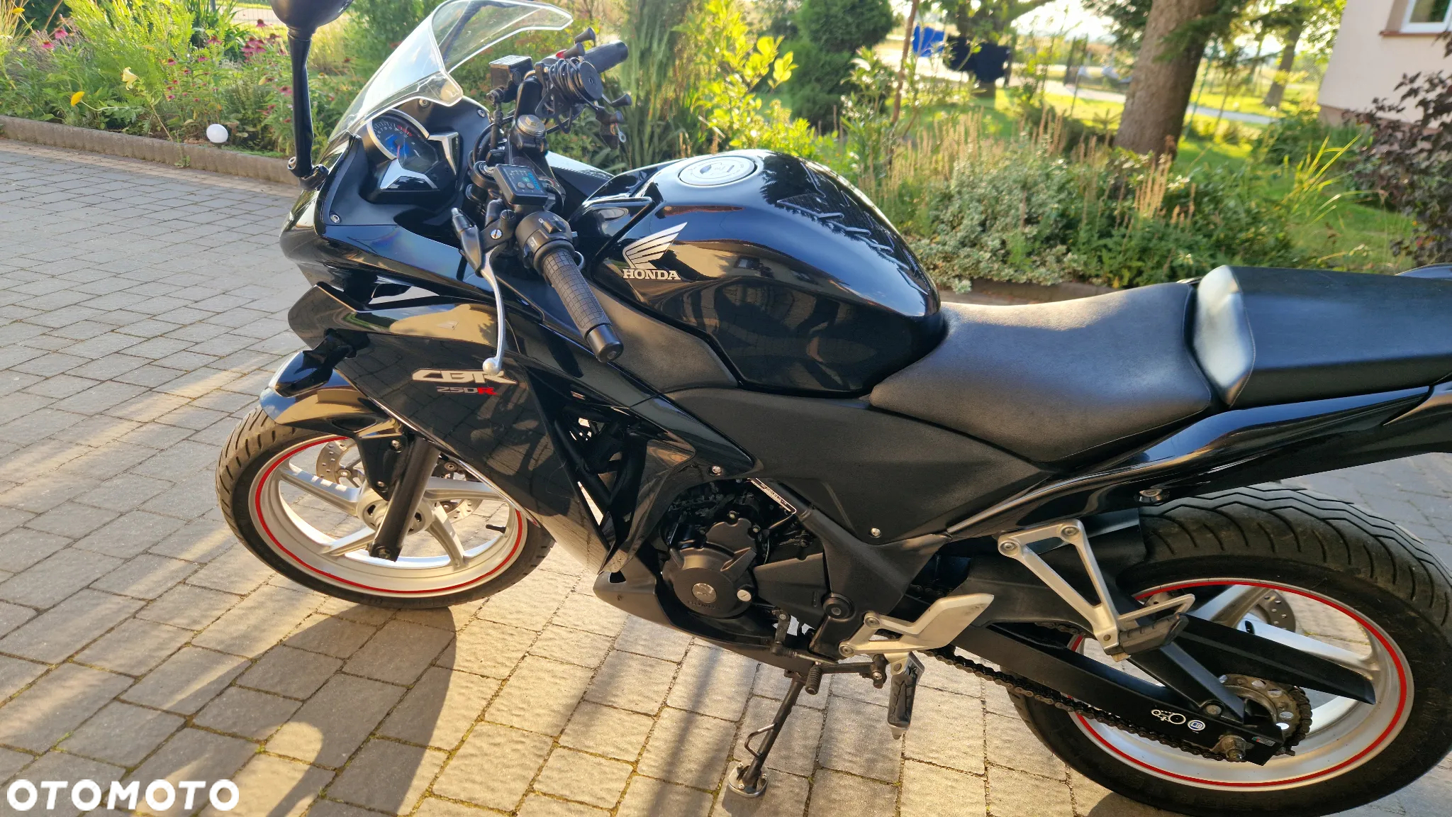 Honda CBR - 7