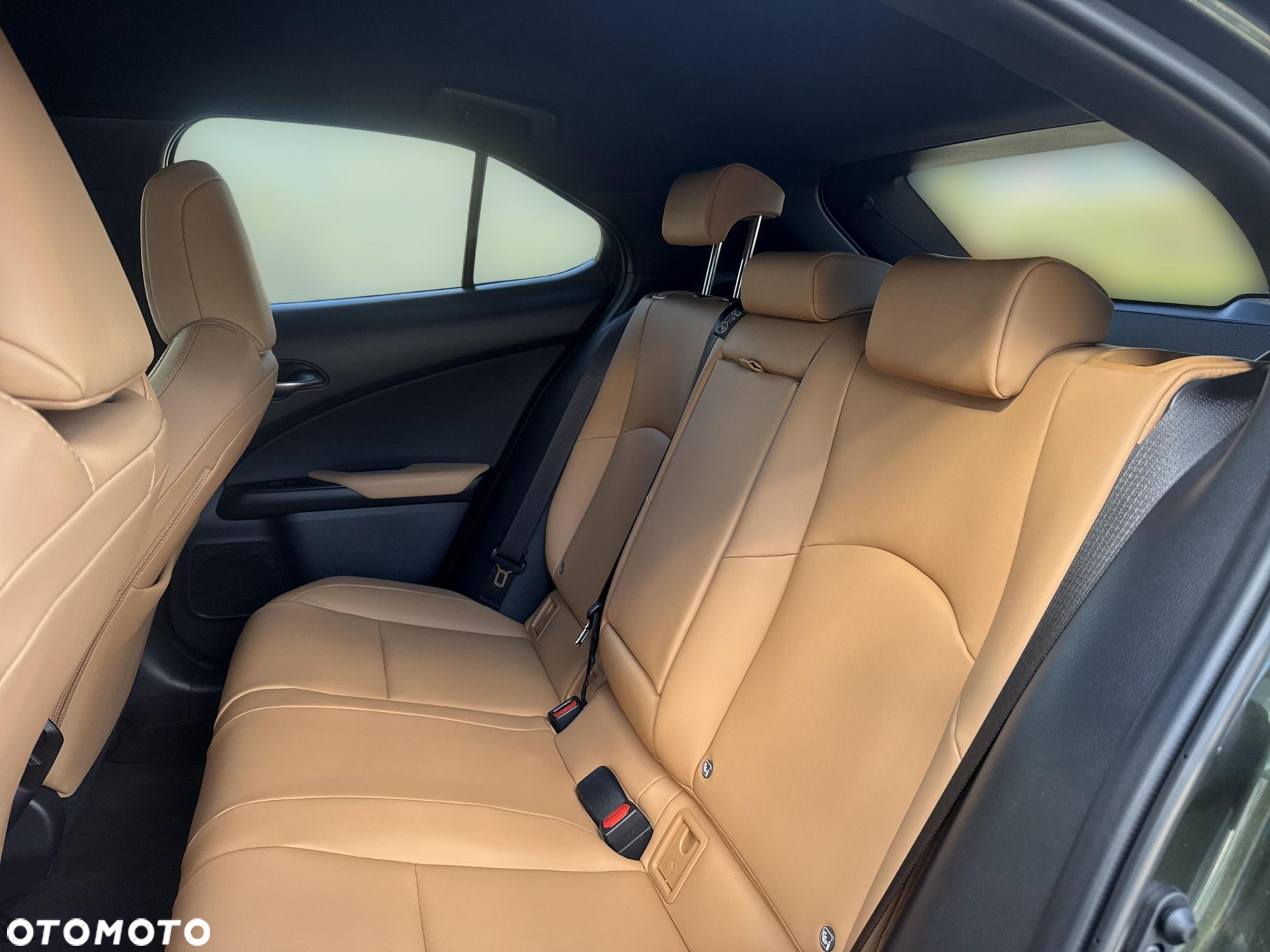 Lexus UX 300h F Sport Design - 14