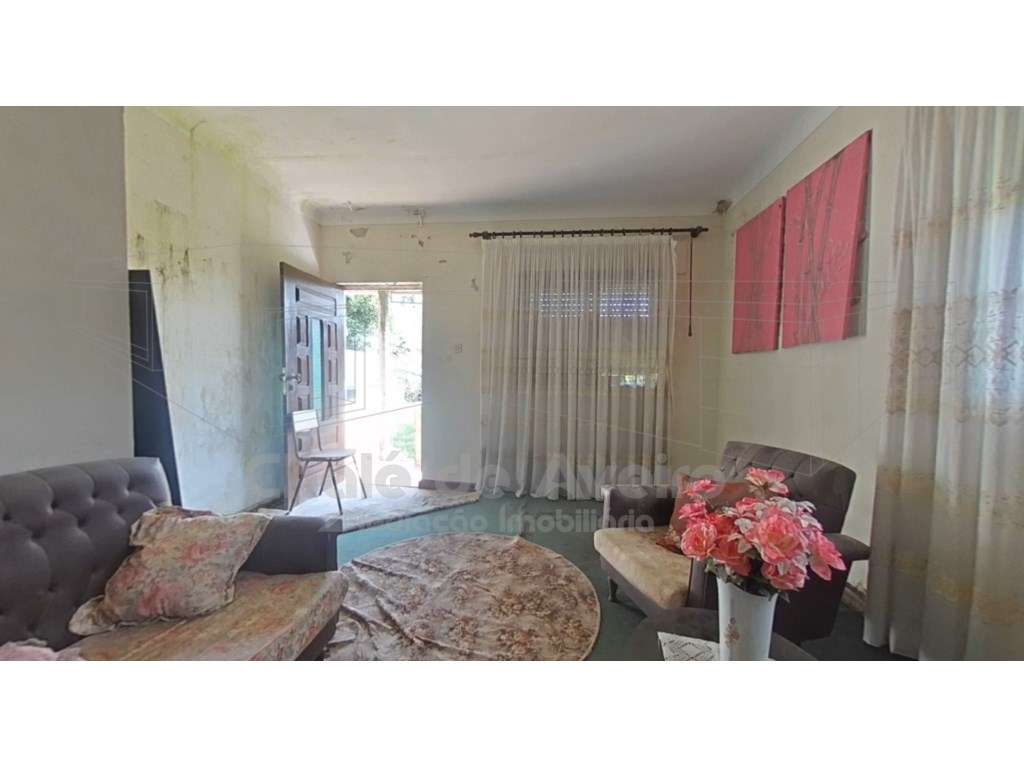 Quinta com 5.000 m2 e casa habitação T5 em Águeda - Grande imagem: 2/47