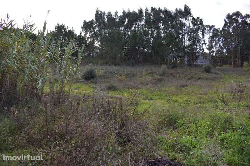 Terreno Urbano para construção de 3 blocos - Grande imagem: 2/5